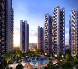 陽光城-麗景灣項目